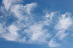 Cirrus clouds